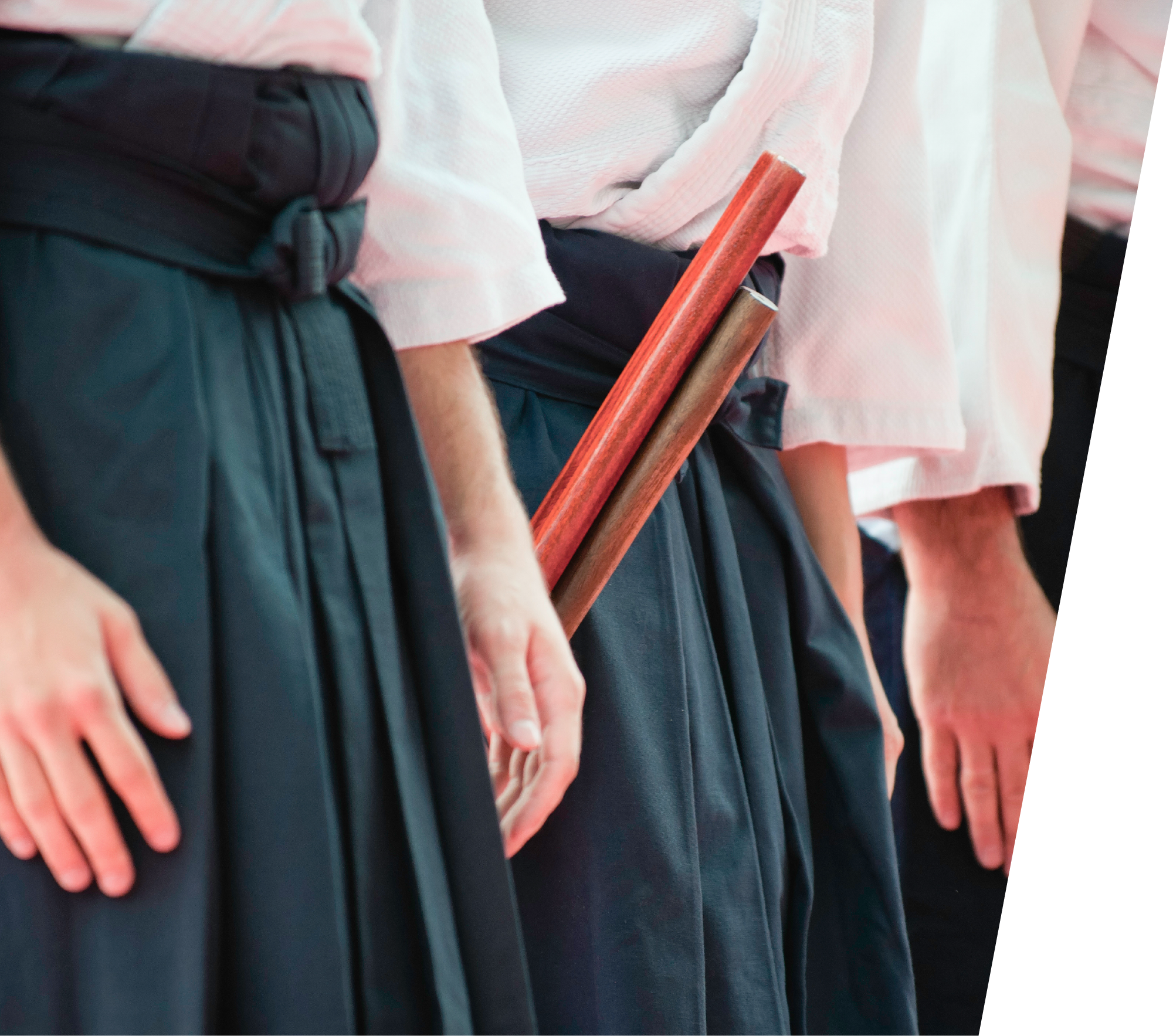 Un gruppo di aikidoki in fila per il saluto con le armi al fianco, in segno di rispetto e disciplina